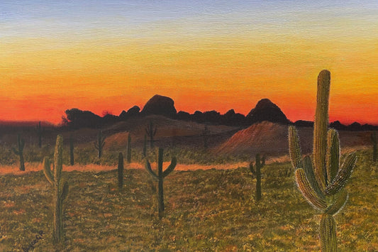 A Sonoran Sunset.  Painting Print on canvas.
